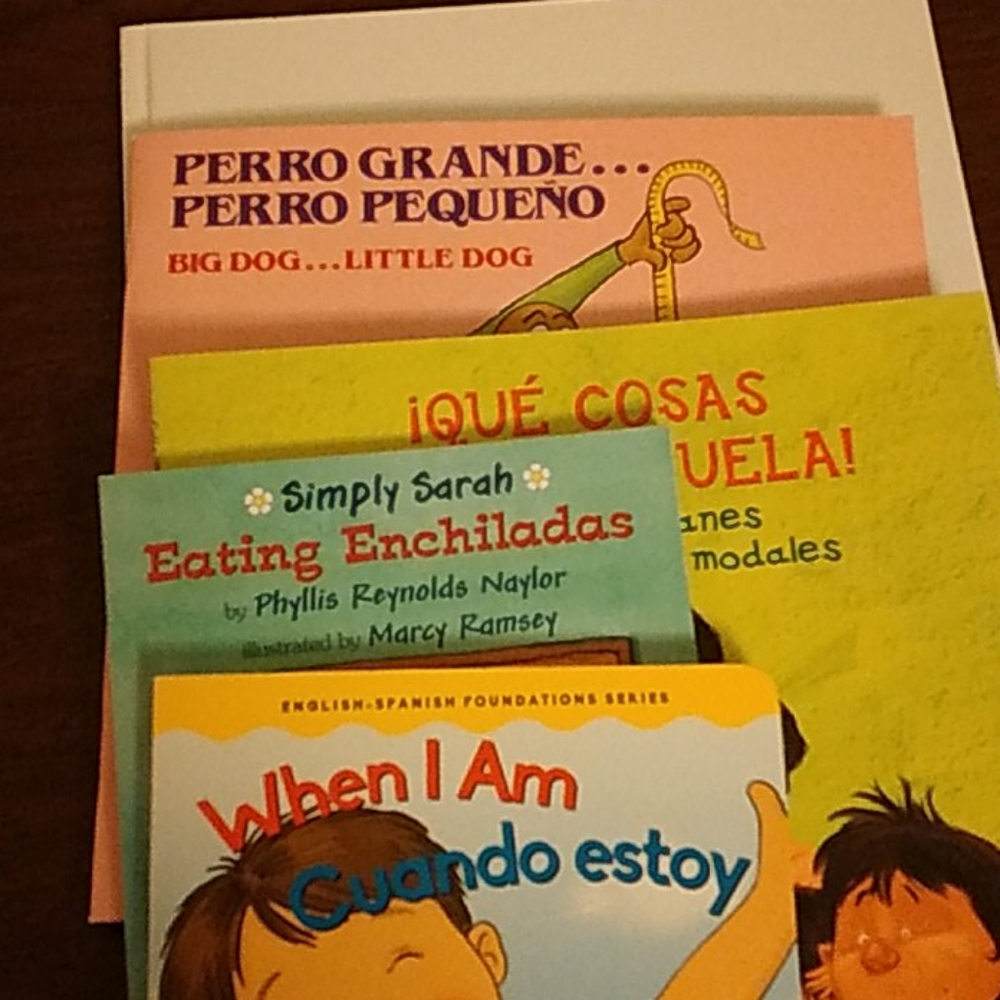 Bundle of 5 New Kids book. Look at pictures.